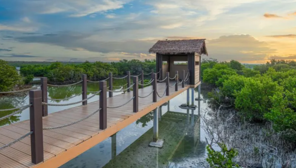 Purple Island (Al Khor Island), Al Khor, Qatar